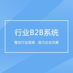 重慶企業(yè)軟件開發(fā) 驅(qū)動B2B行業(yè)系統(tǒng)轉(zhuǎn)型升級